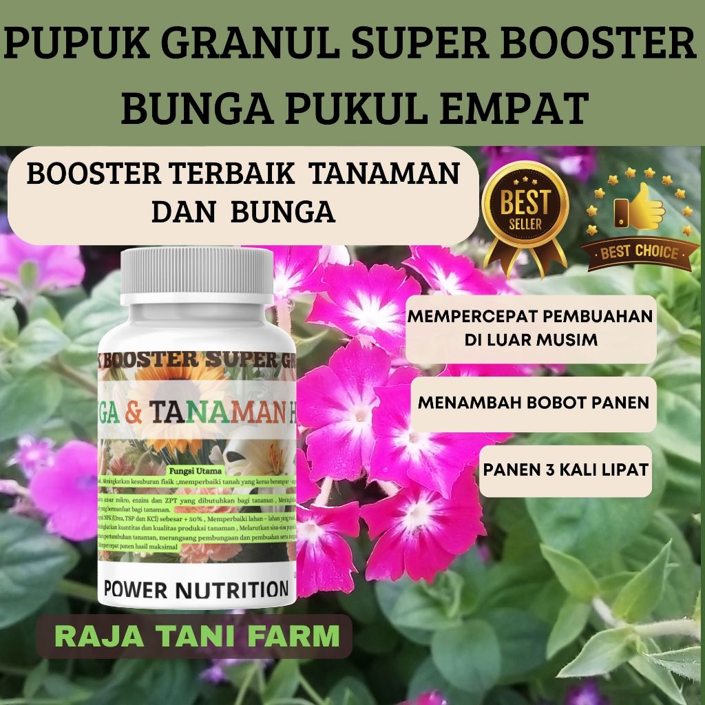 RTF Pupuk Super Booster Granul Buat Bunga Pukul Empat Mempercepat Pertumbuhan Pupuk Penyubur