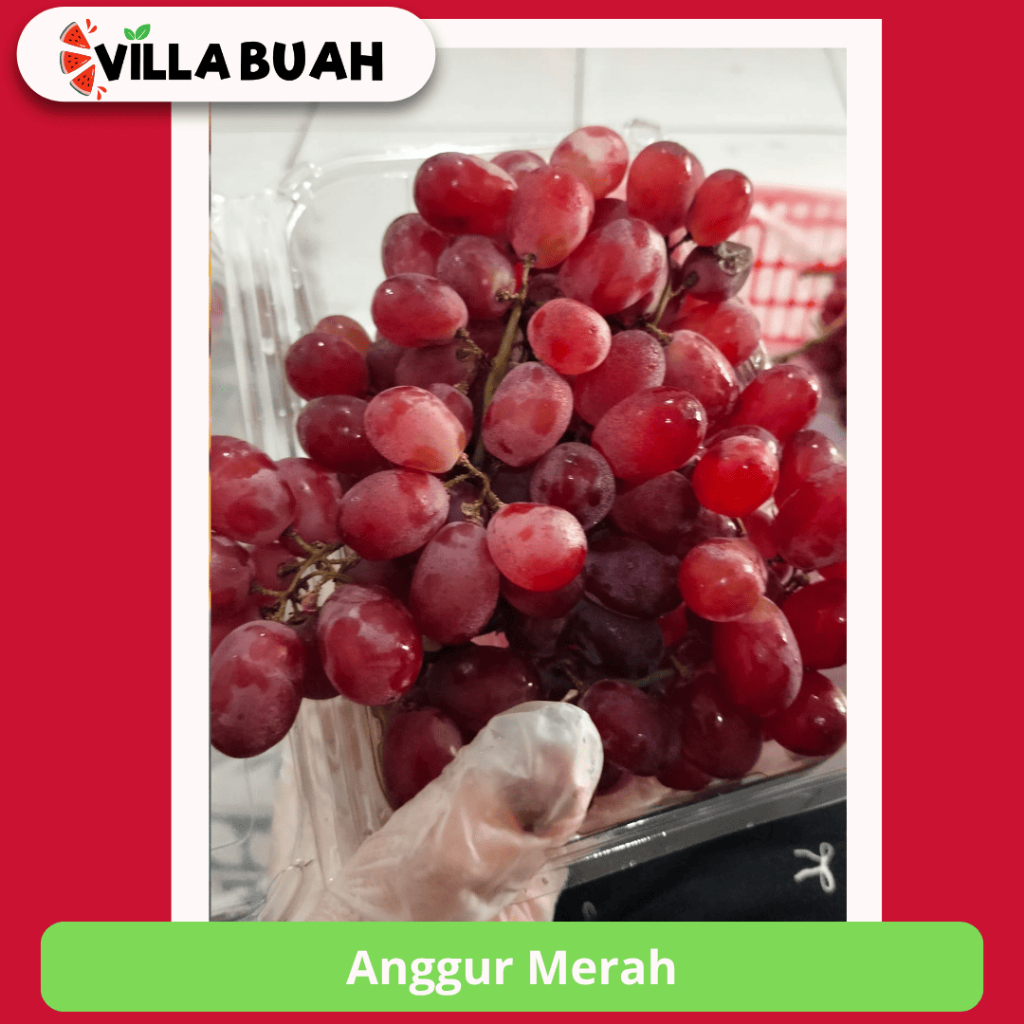 

Anggur Merah (±250 gr)