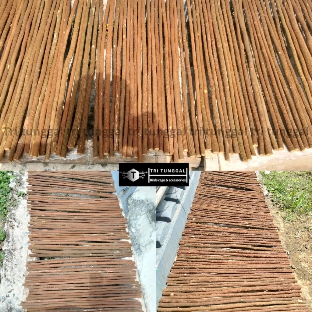 tangkringan asem jawa all ukuran tangkringan asem jawa great B+ tangkringan burung