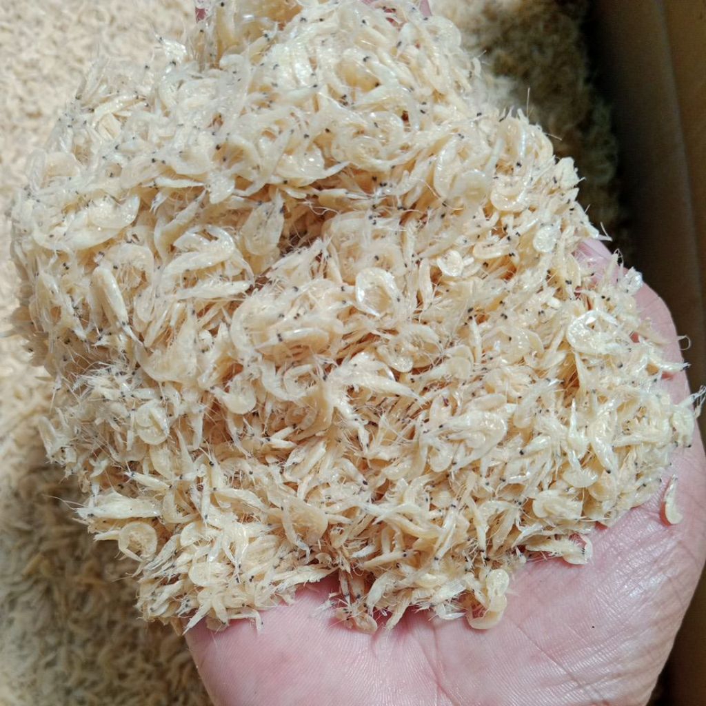 

iKan Asin Rebon Jeruk kering 1 Kg Fresh