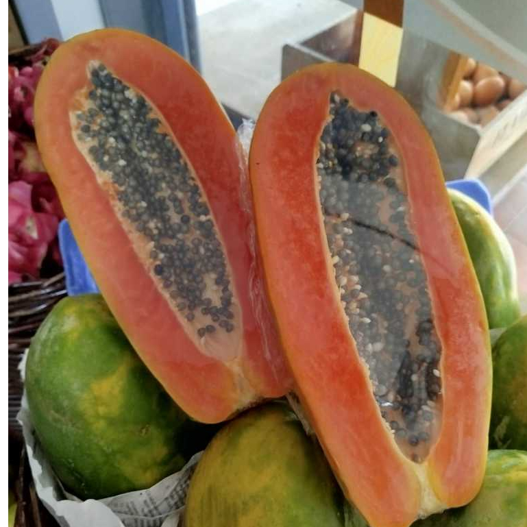 

Pepaya California Buah Segar Bandung (1 Buah)