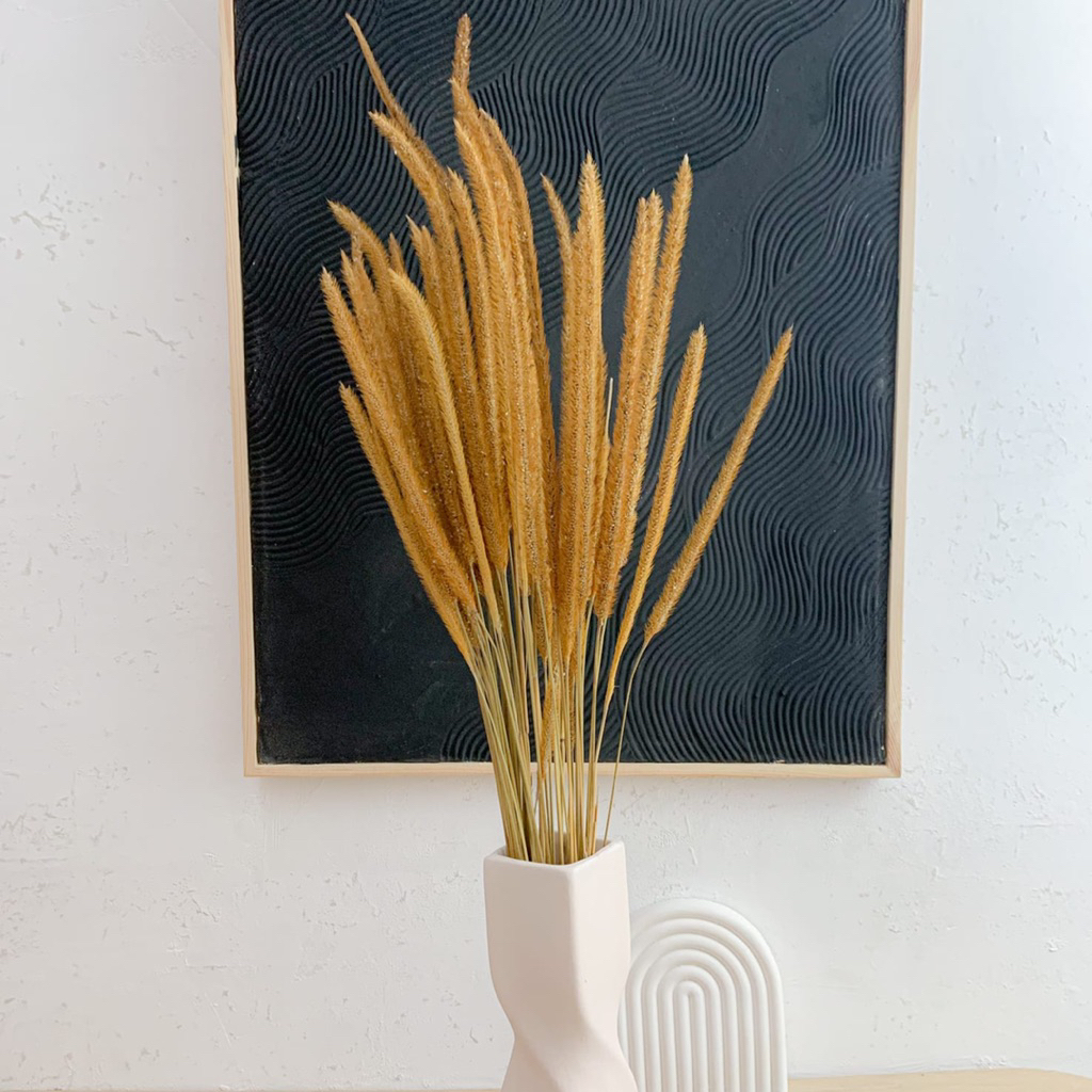 Bunga Sataria Kering / Dried Flowers / Bunga Kering / Bunga Kering Hias untuk Dekorasi Ruangan