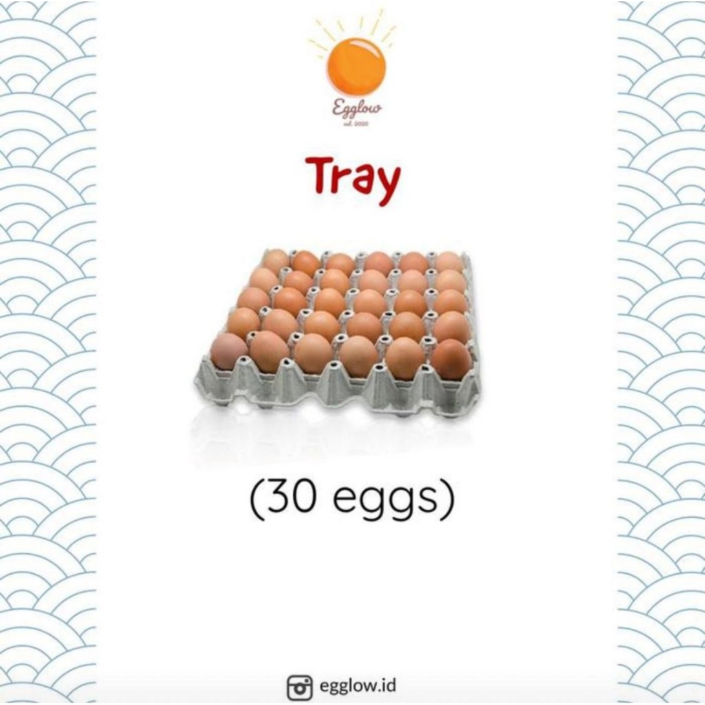 

Tray (30 Butir)