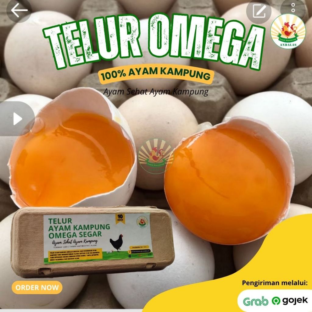 

Telur Ayam Kampung Andalas Omega Free Range isi 10 butir