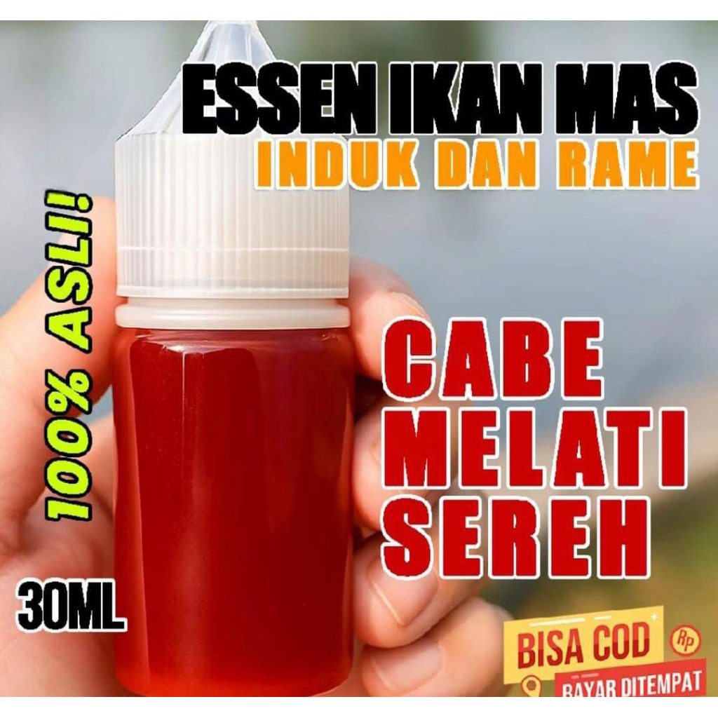 Essen ikan oplosan aroma cabe melati