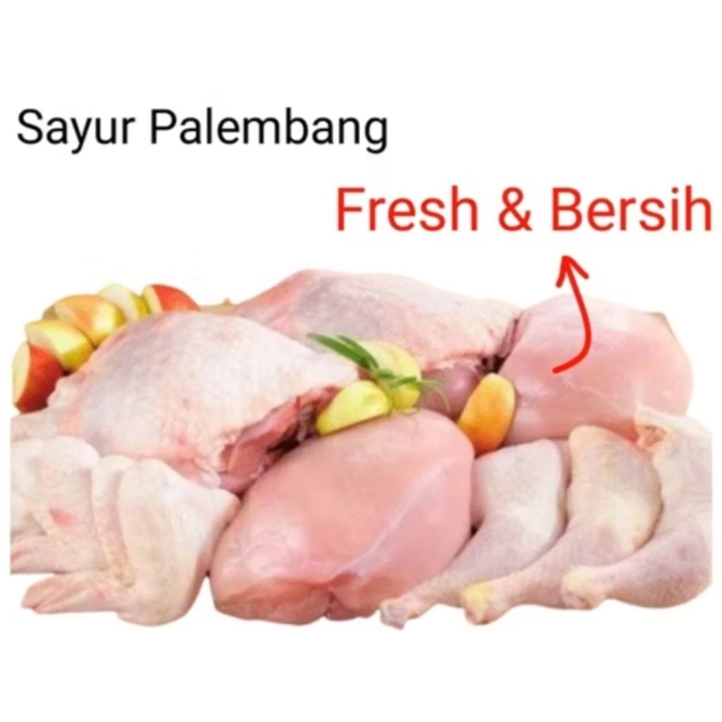 

DAGING AYAM - PALEMBANG