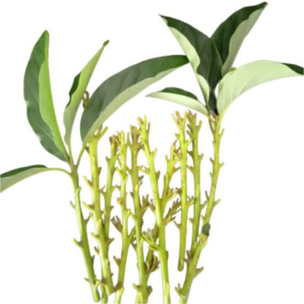 Entres Alpukat Miki 1 kg