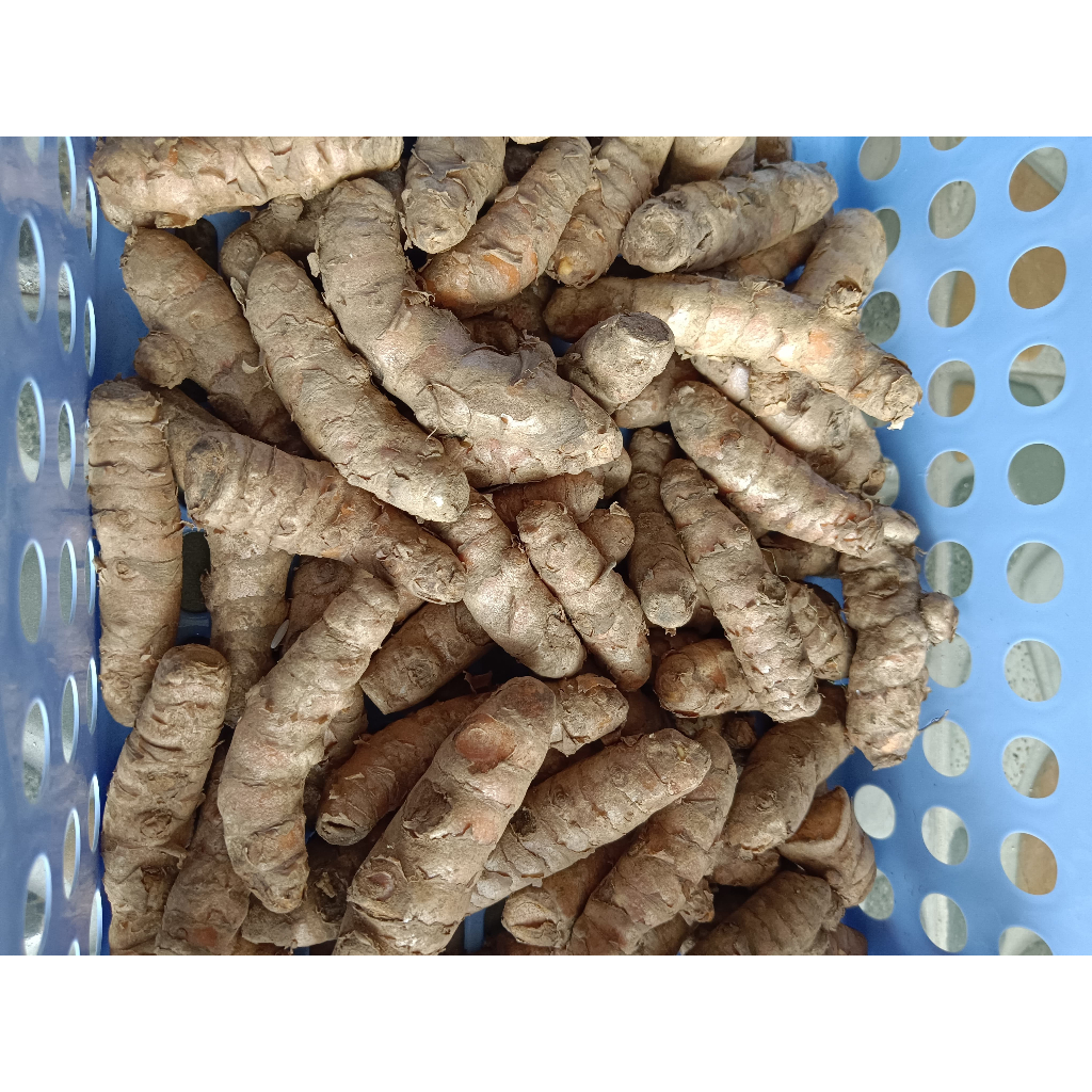 

Kunyit Bersih Segar 250 gr