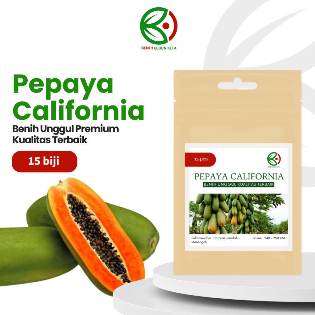 Biji Benih Bibit Buah Pepaya California F1 Hibrida Unggul Berkualitas