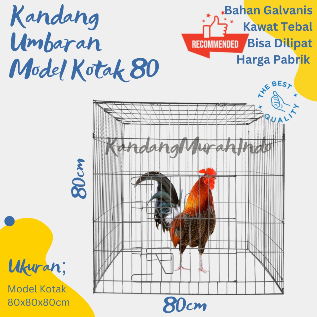 KANDANG AYAM MURAH / KURUNGAN AYAM MURAH / UMBARAN AYAM MURAH TIPE KOTAK 80