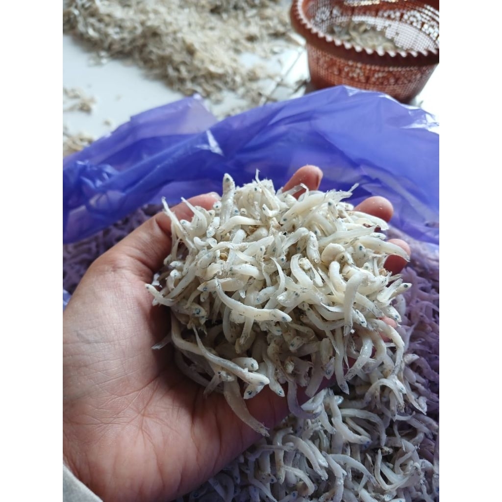 

FISCES TERI NASI MEDAN 500 GRAM/teri super premium /teri murah