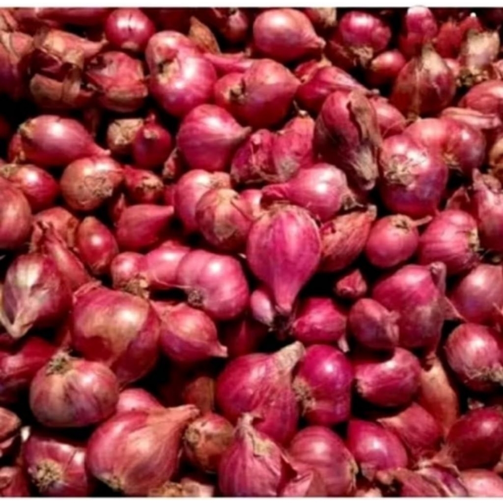 

Bawang merah Super Fresh[ 3 Kg] Langsung dari Petani