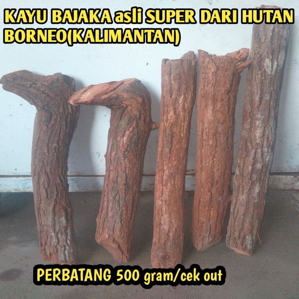 

100% asli kayu bajaka super/batang 500 gram