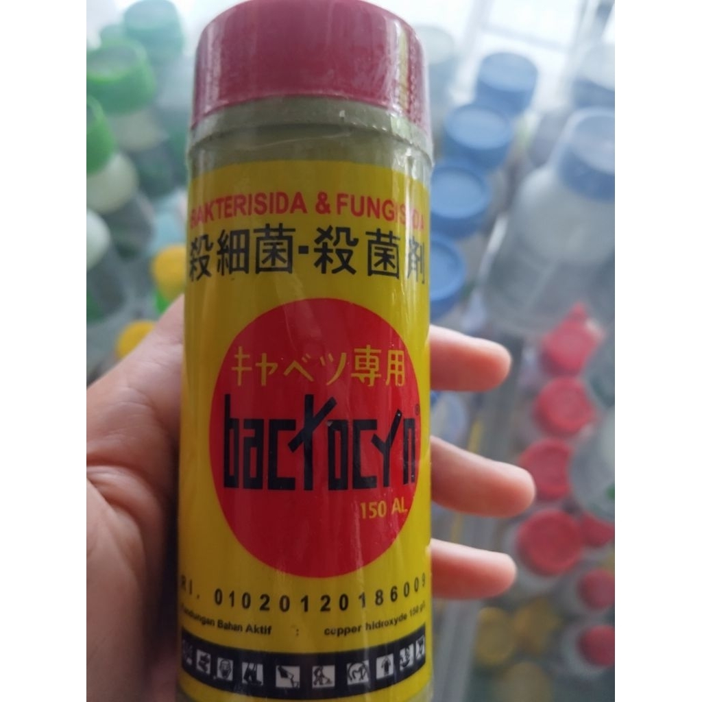 BACTOCYN 200ML/BAKTERISIDA FUNGISIDA