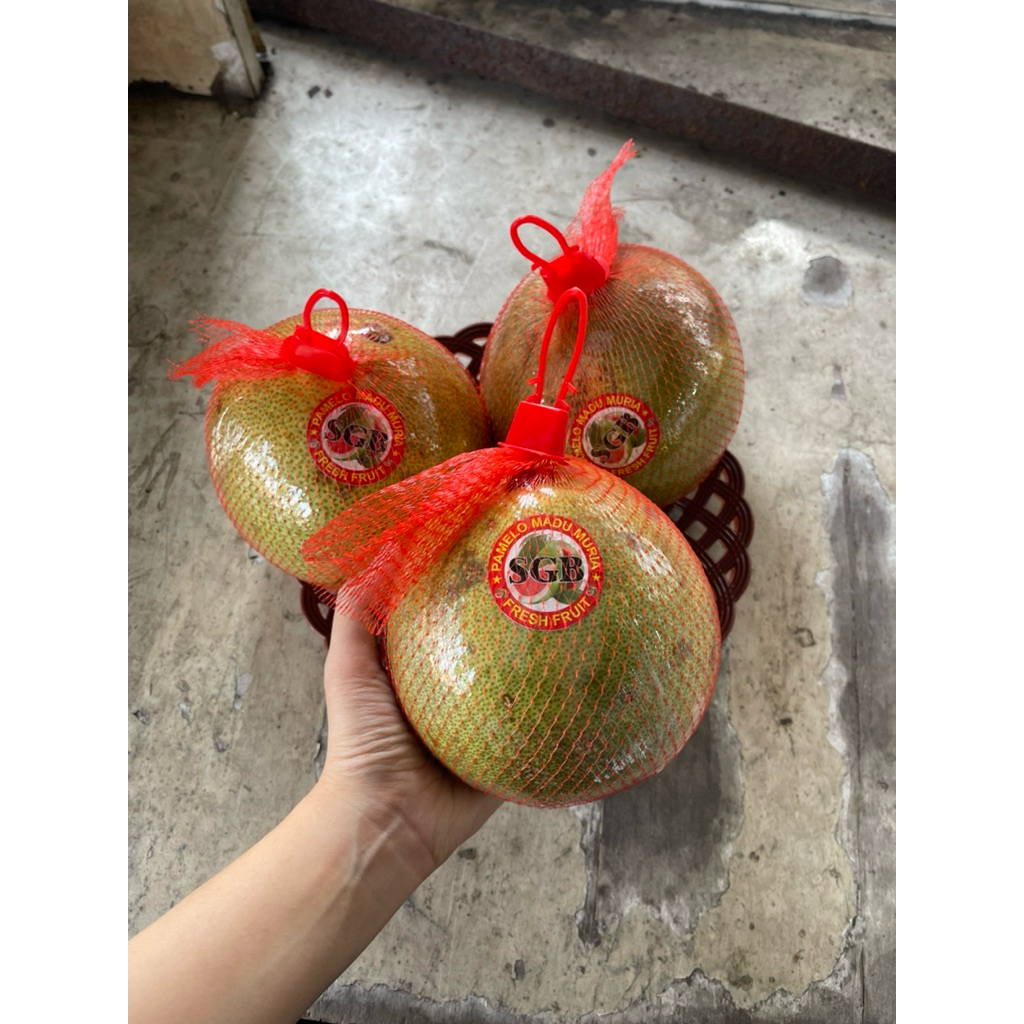 

buahfreshku - jeruk bali nambangan / pamelo 1 pcs