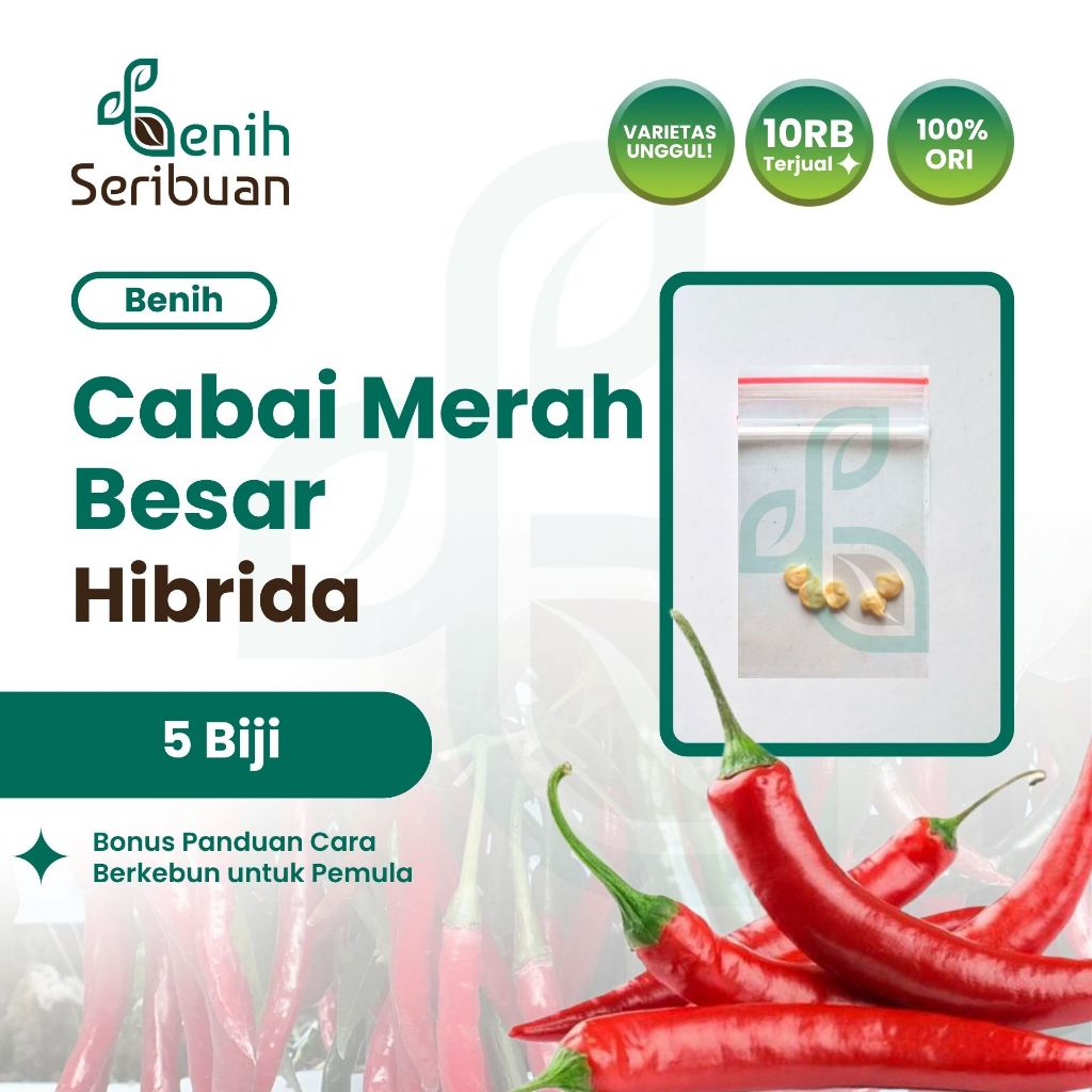 Benih Seribuan - 5 Benih Cabe Merah Besar F1 Hibrida