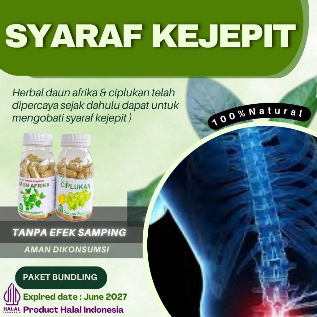 obat herbal stroke lumpuh daun afrika ciplukan melancarkan peredaran darah kolestrol kapsul