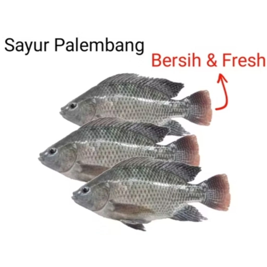 

IKAN NILA - Palembang