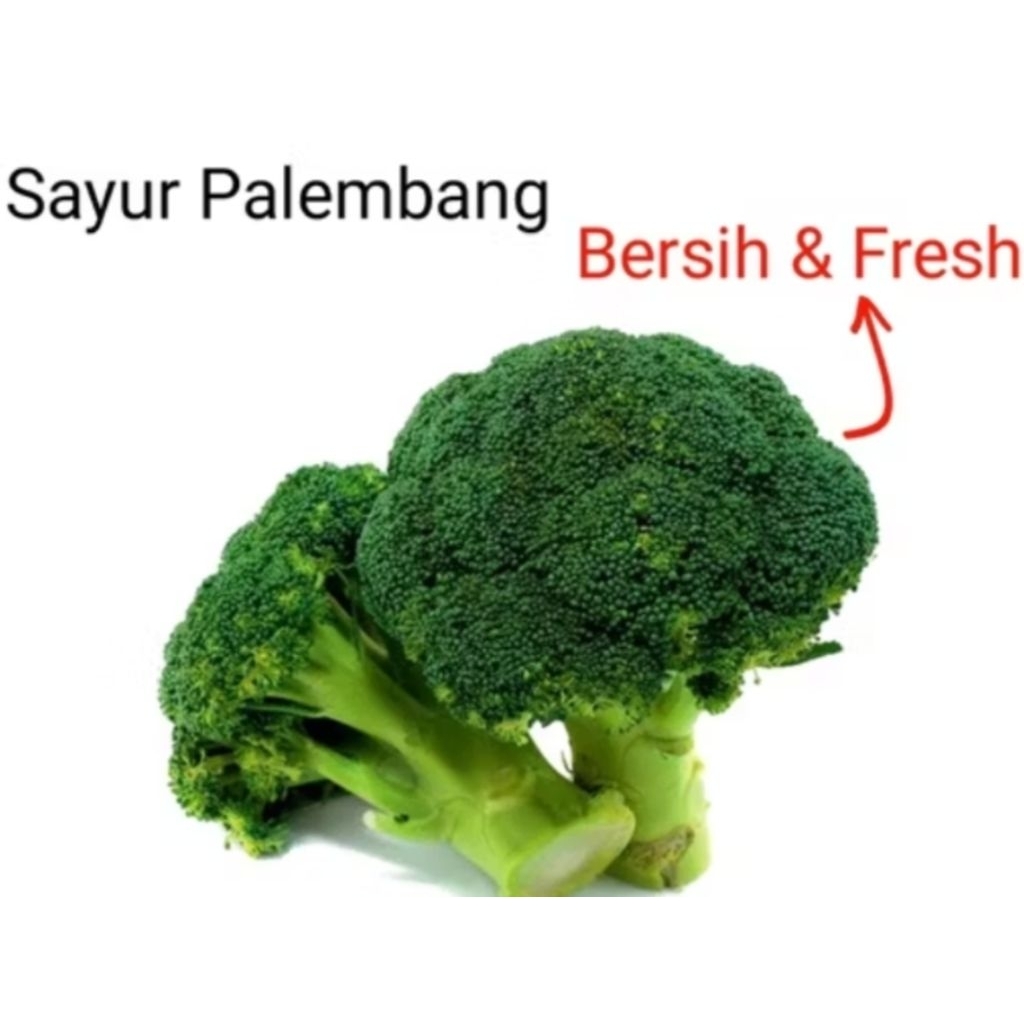 

BROKOLI - Palembang