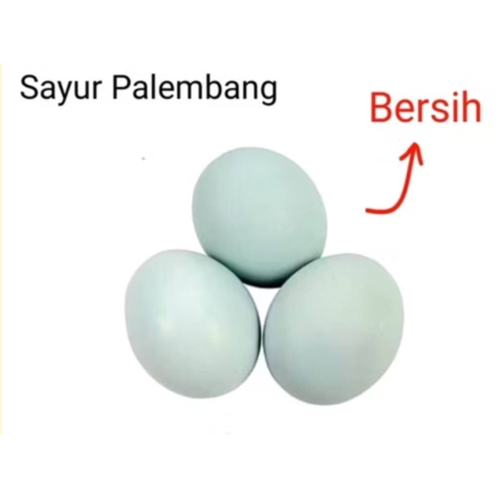 

TELUR BEBEK - Palembang
