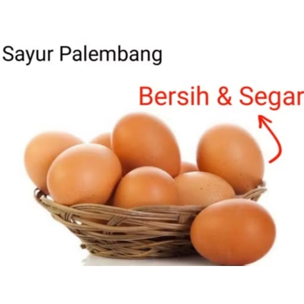 

TELUR AYAM NEGRI - Palembang
