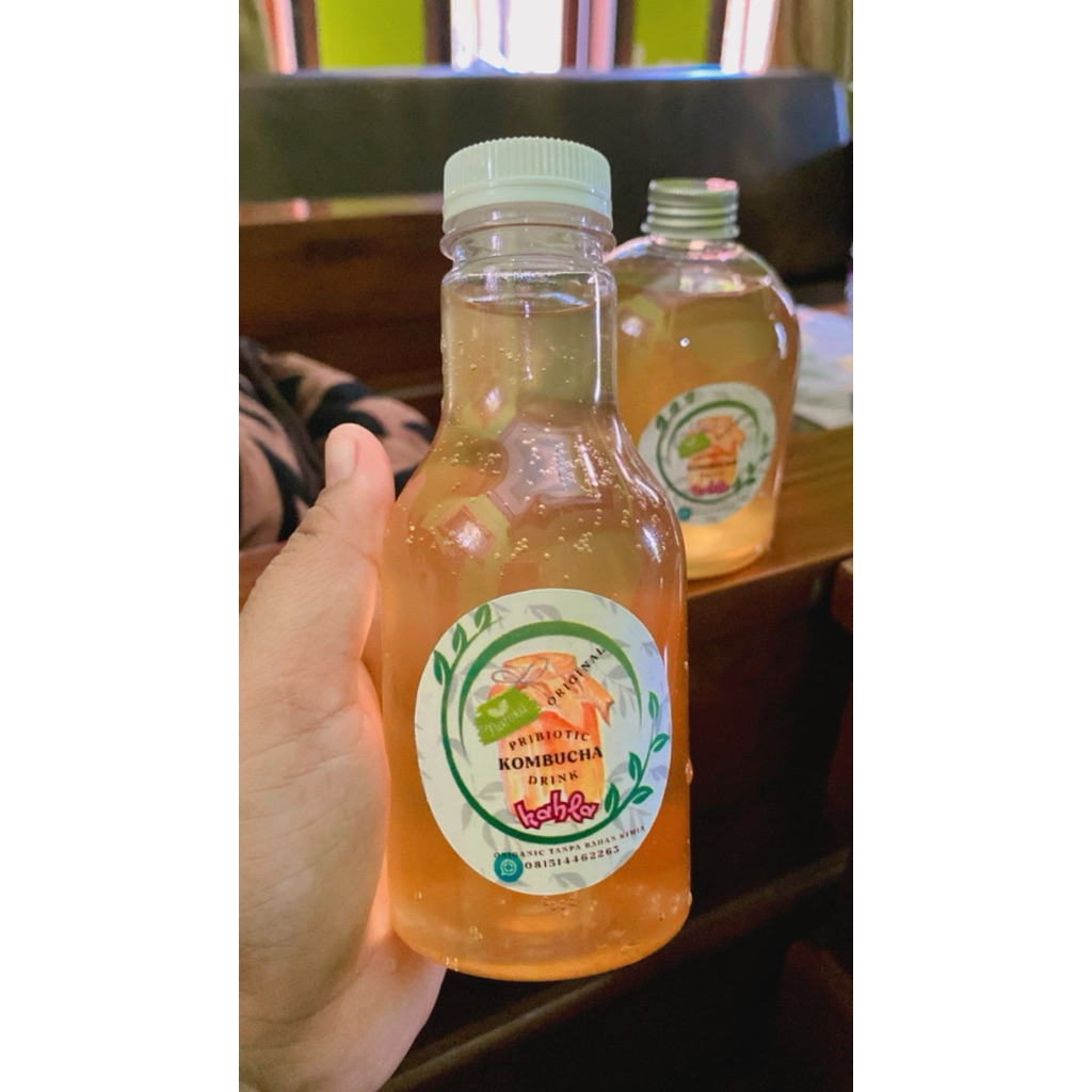 

KOMBUCHA MINUMAN PRIBIOTIK ALAMI