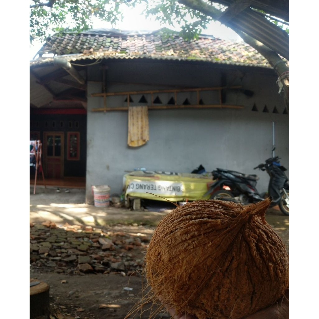

Kelapa Tua santan