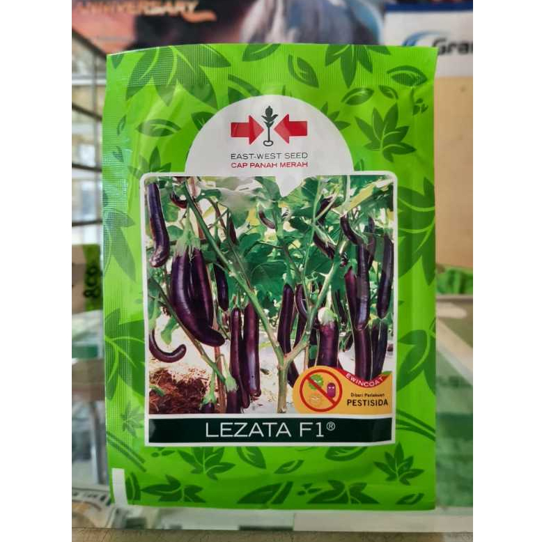 LEZATA F1 BIBIT TERONG UNGU 1100S CAP PANAH MERAH