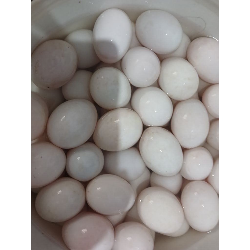 

telur asin