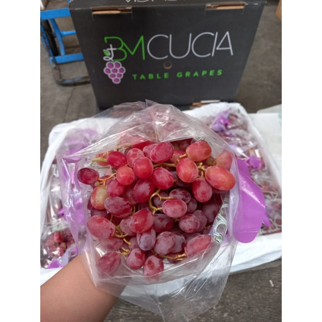 

Anggur crimson ausie manis tnp biji