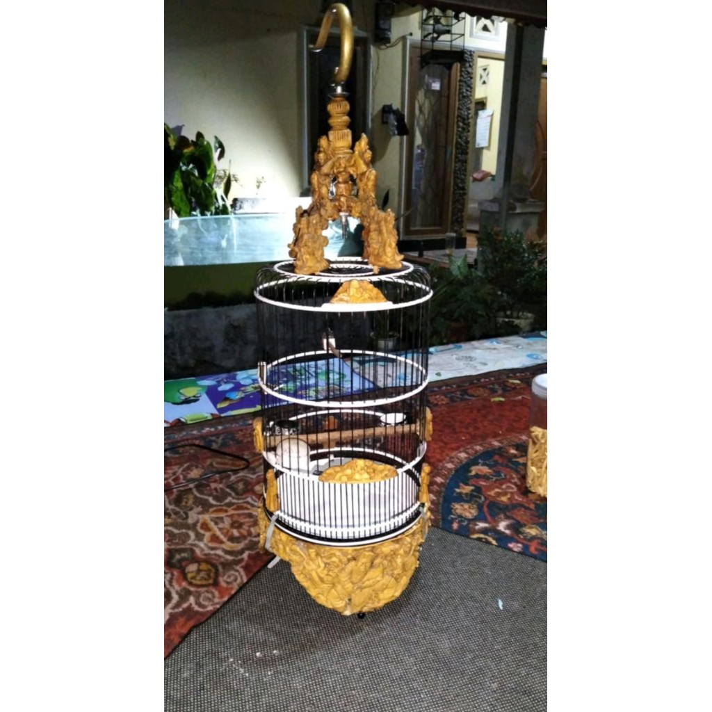 sangkar pleci burung kacamata  original