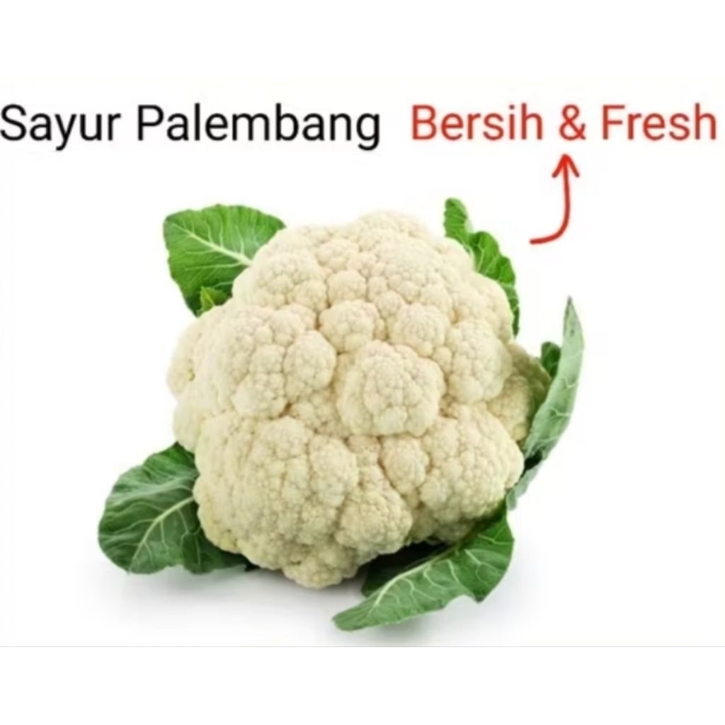 

KEMBANG KOL - Palembang