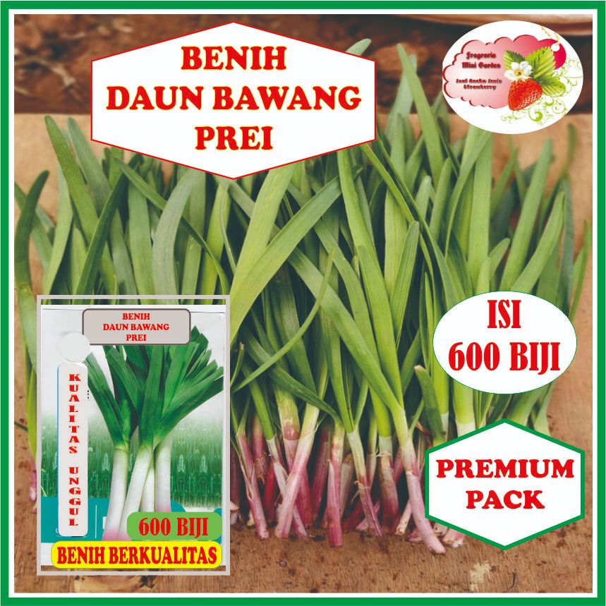 BENIH DAUN BAWANG PREI ISI 600 BIJI