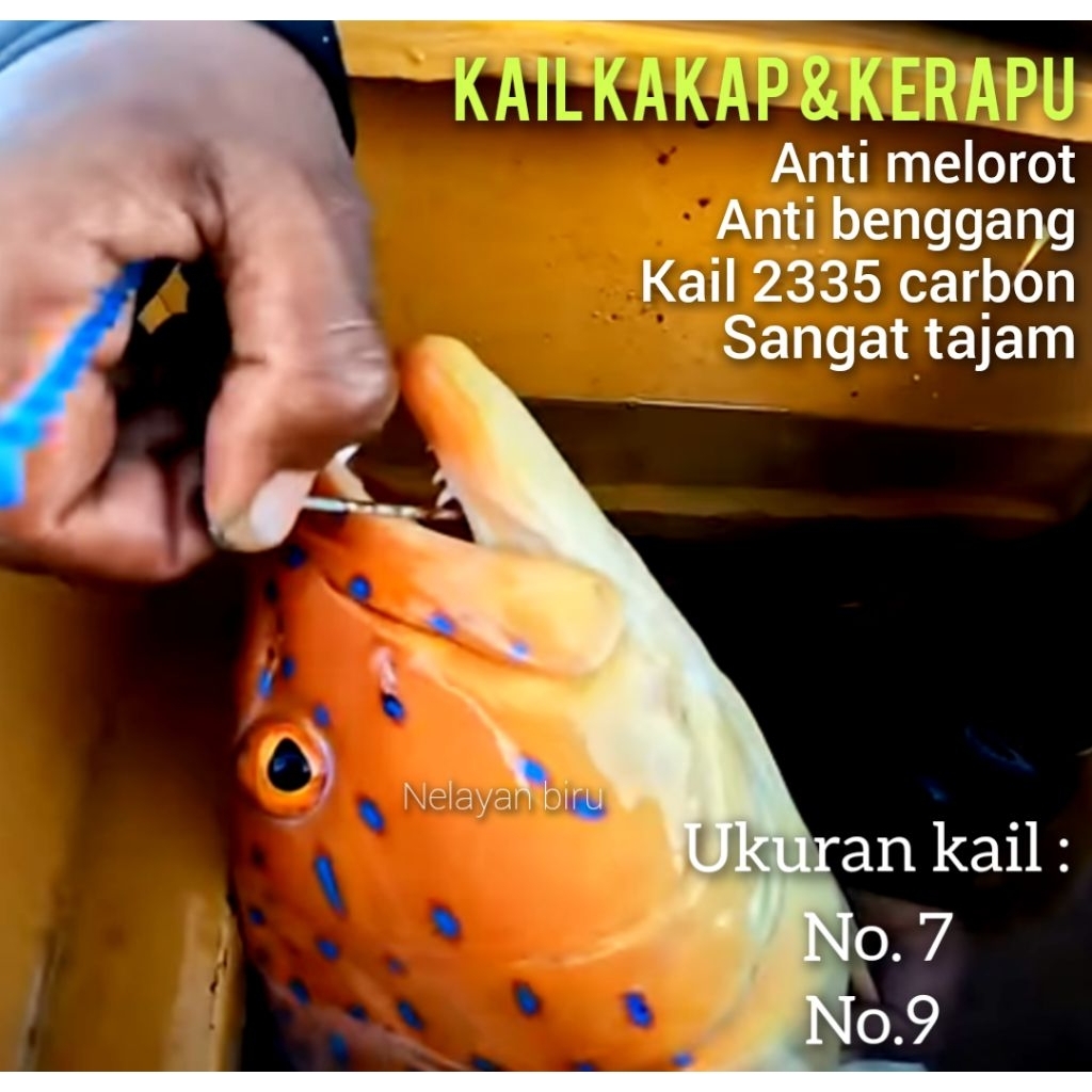 KAIL RUMPON KAKAP / KAIL KERAPU/ KAIL ANTI MELOROT/KAIL MANCING DASARAN
