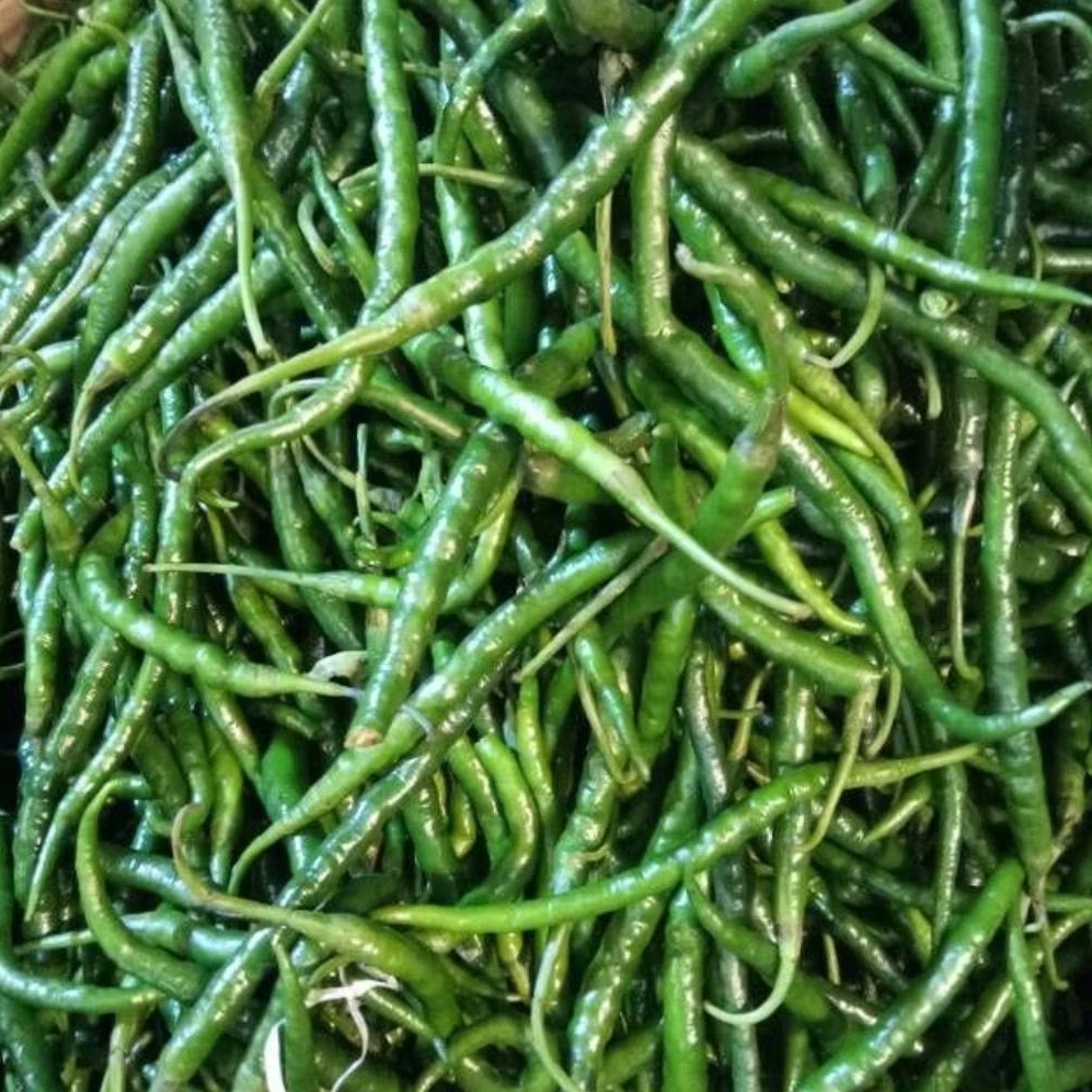 

INSTAN KOTA JAMBI Cabe Hijau 100gr