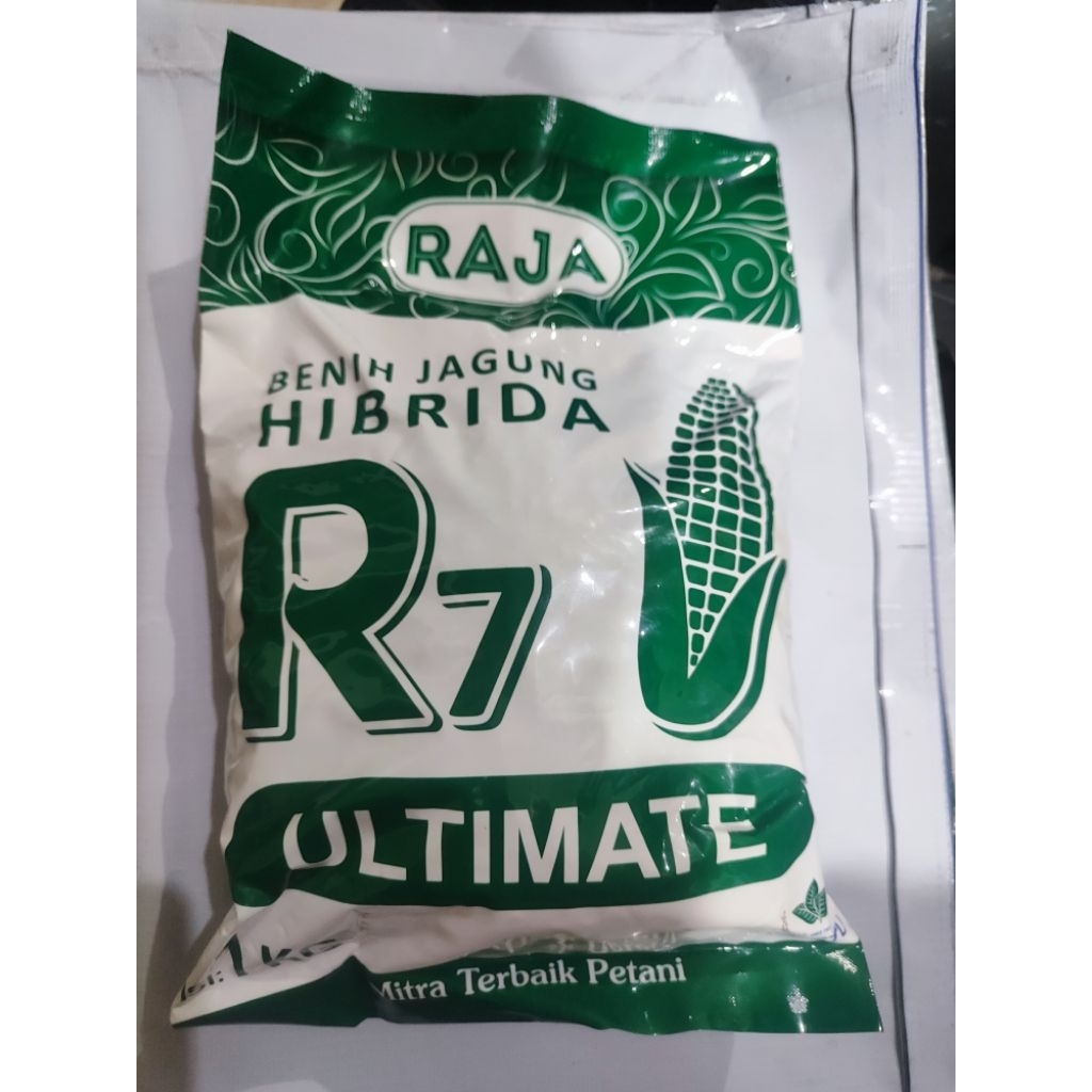 Benih Jagung Hibrida RAJA R7 Ultimate kemasan 1 kg