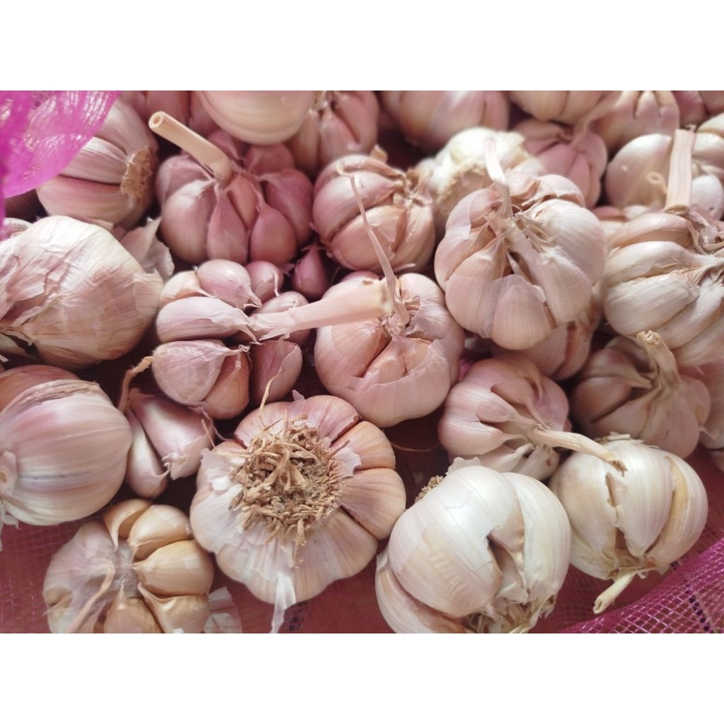 

Bawang Putih Merk Zlm