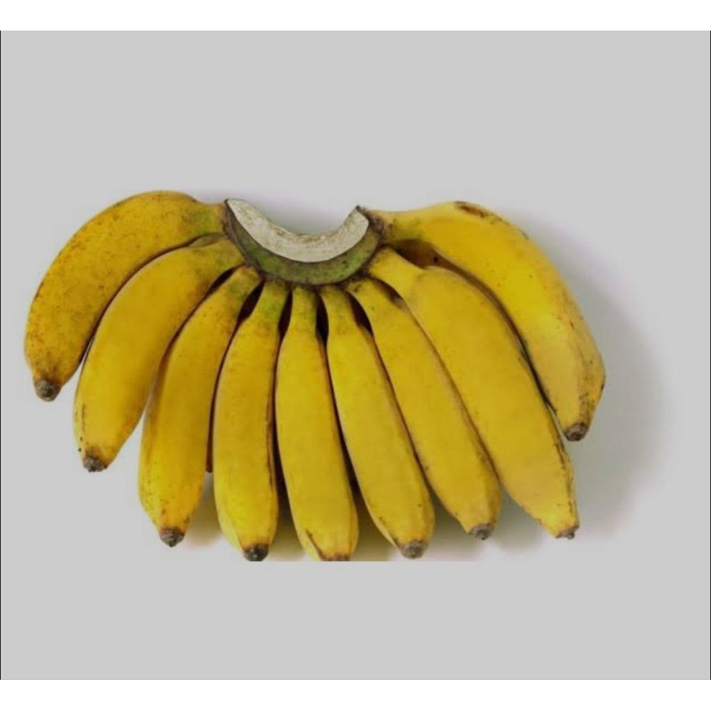 

Buah Pisang Raja Bulu Enak Manis Segar Kuning Hijau Lembut Mengkal Mateng.