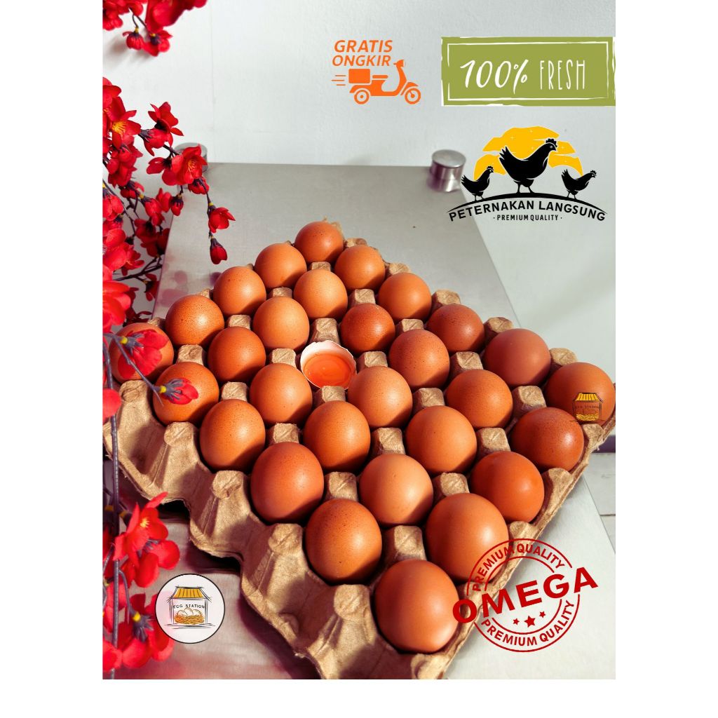 

Telur Ayam Negeri OMEGA 3 - 30 butir FRESH Grade A Bersih Kualitas Terbaik