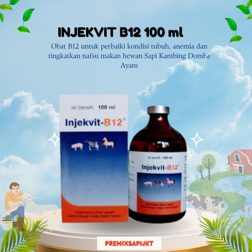 NEW INJEKVIT B12 100 ml - Obat B12 untuk perbaiki kondisi tubuh, anemia dan tingkatkan nafsu makan h