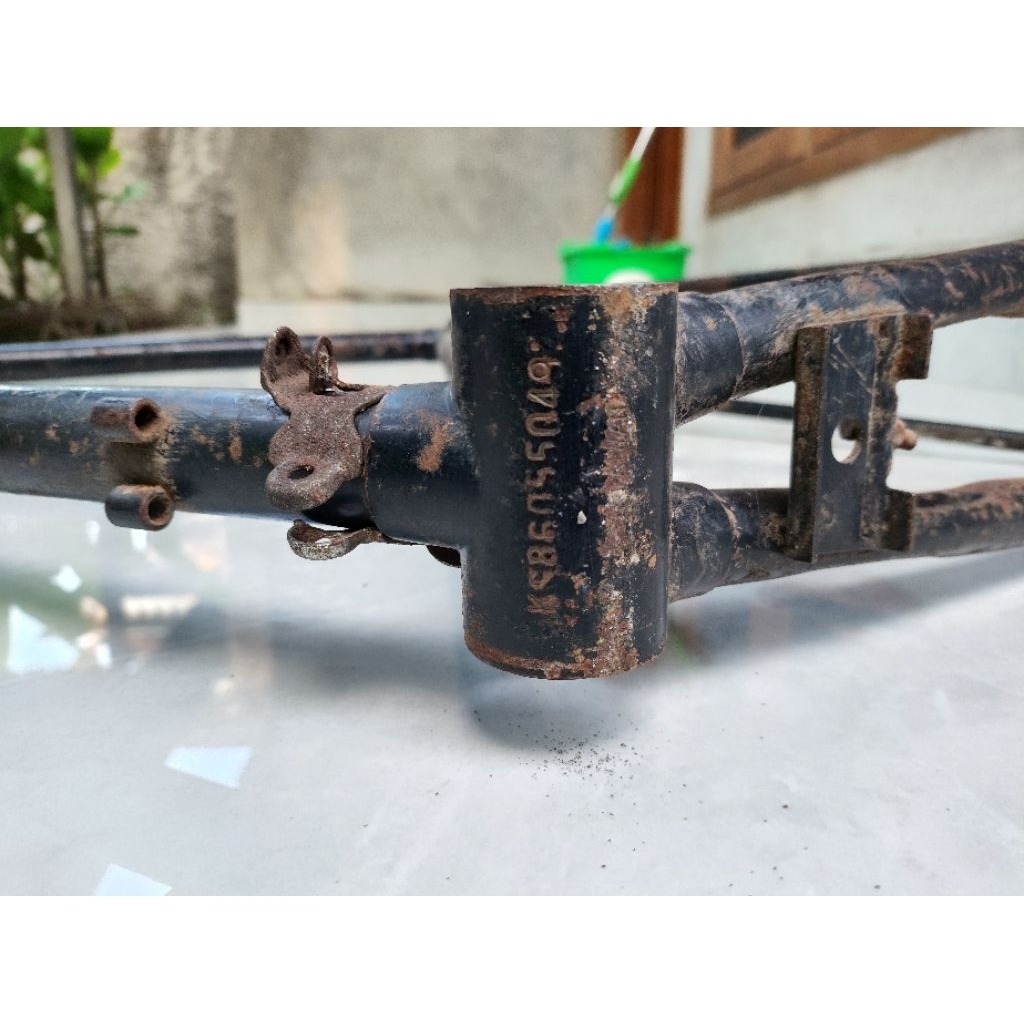 Frame golden eagle size 54