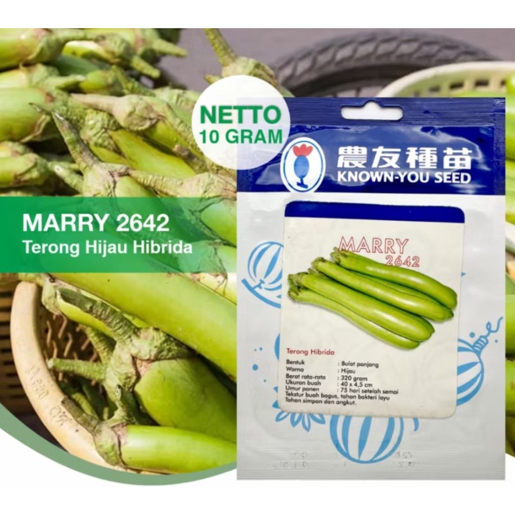 Benih Terong Hijau MARRY 2642 Known You Seed 10 Gr