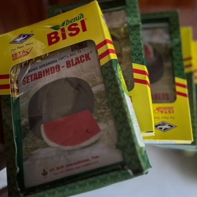 Benih Semangka Non biji Setabindo Black 20g