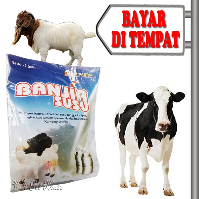 Vitamin Pelancar Air Susu Sapi Kambing Perah Banjir Hewan Ternak