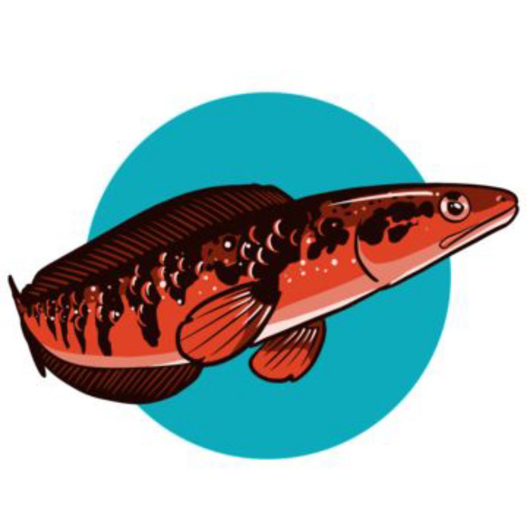 

Stiker Red Barito 11-13cm Singel Tank