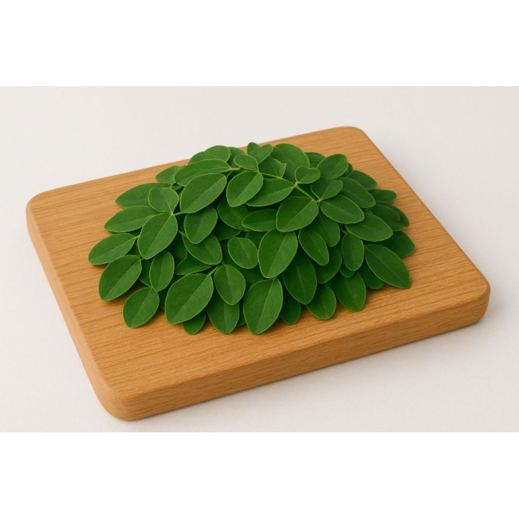 

Moringa Leaf - Daun Kelor fresh