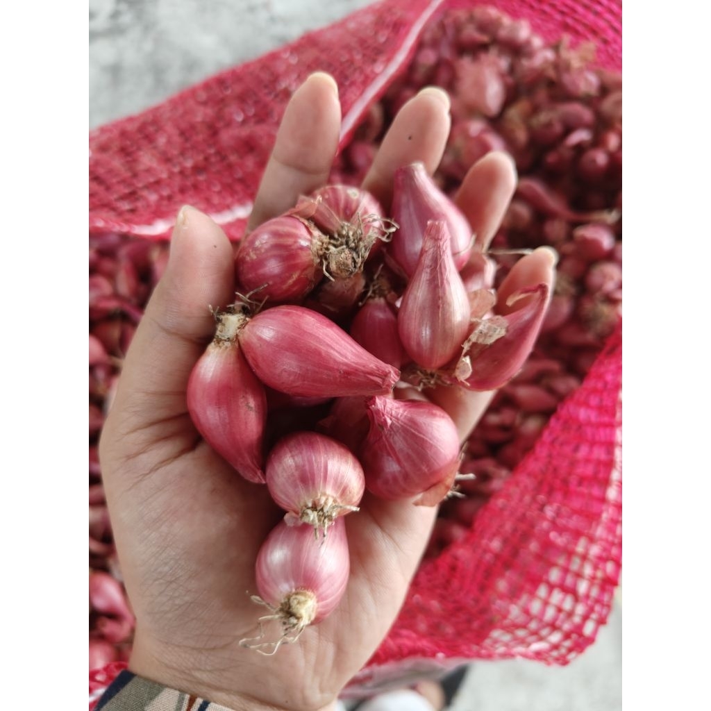 

Bawang Merah Sarangan Magetan 1 kilo