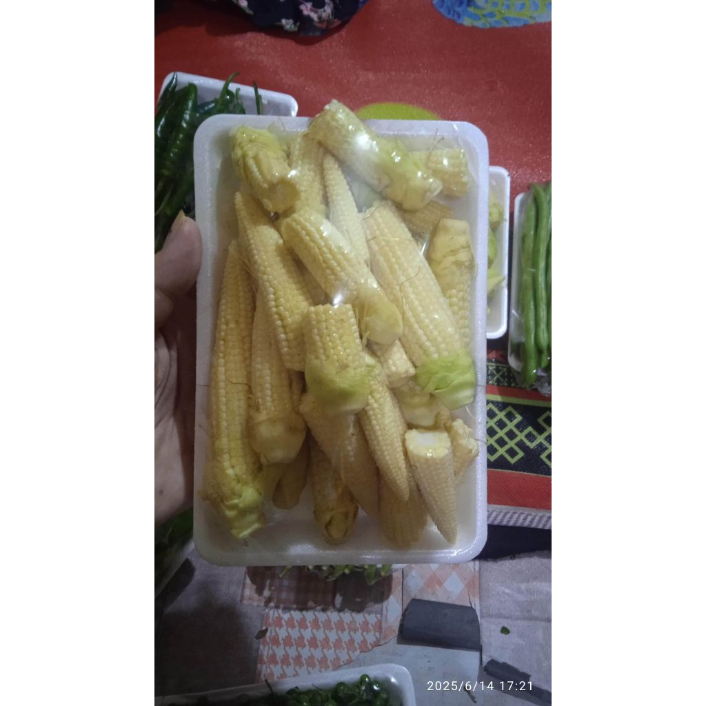 

Jagung muda