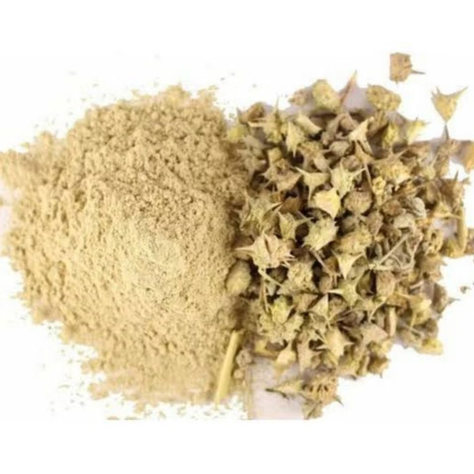 

Bubuk Serbuk Tribulus 100 gram Tribulus rujak polo 100gr