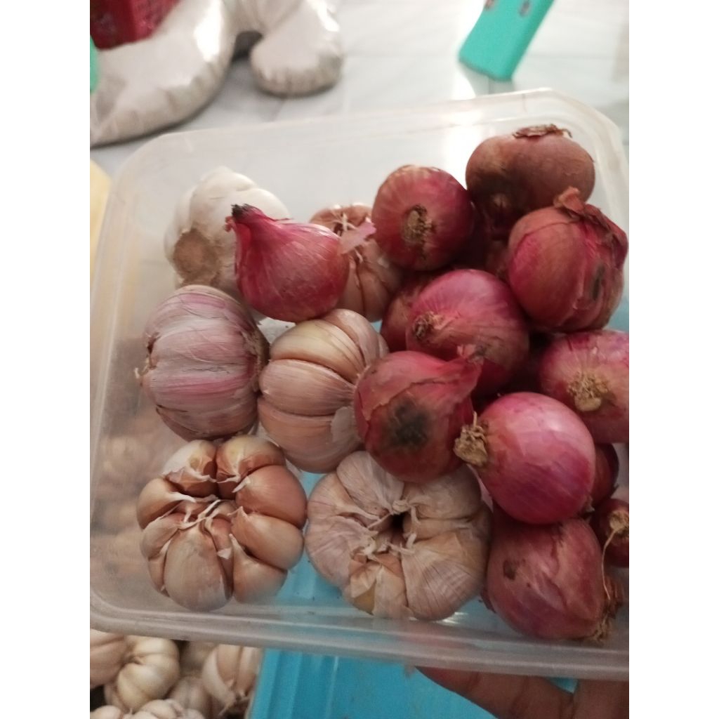 

paket hemat bawang merah + bawang putih 1kg